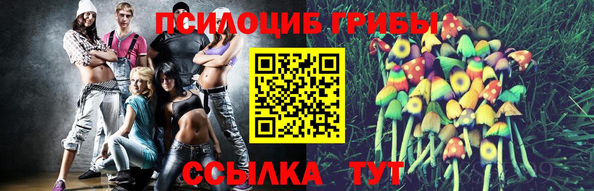 Галлюциногенные грибы Cubensis Стрежевой