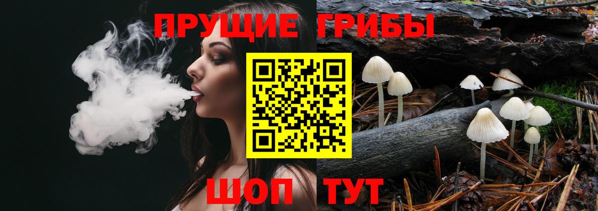 Псилоцибиновые грибы прущие грибы  купить закладку  Стрежевой  Вход с VPN  Галлюциногенные грибы Psilocybine cubensis 
