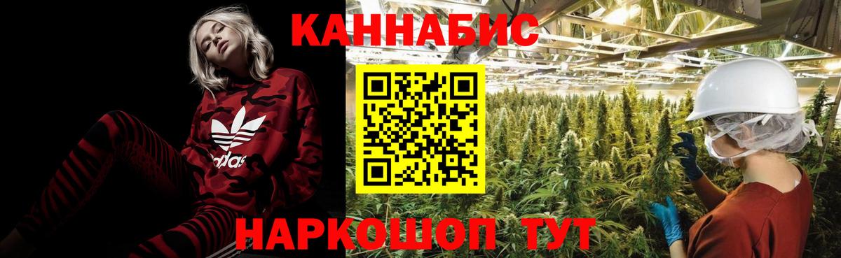 Стрежевой  Канабис тримм  Вход с VPN  Шишки марихуана Amnesia 
